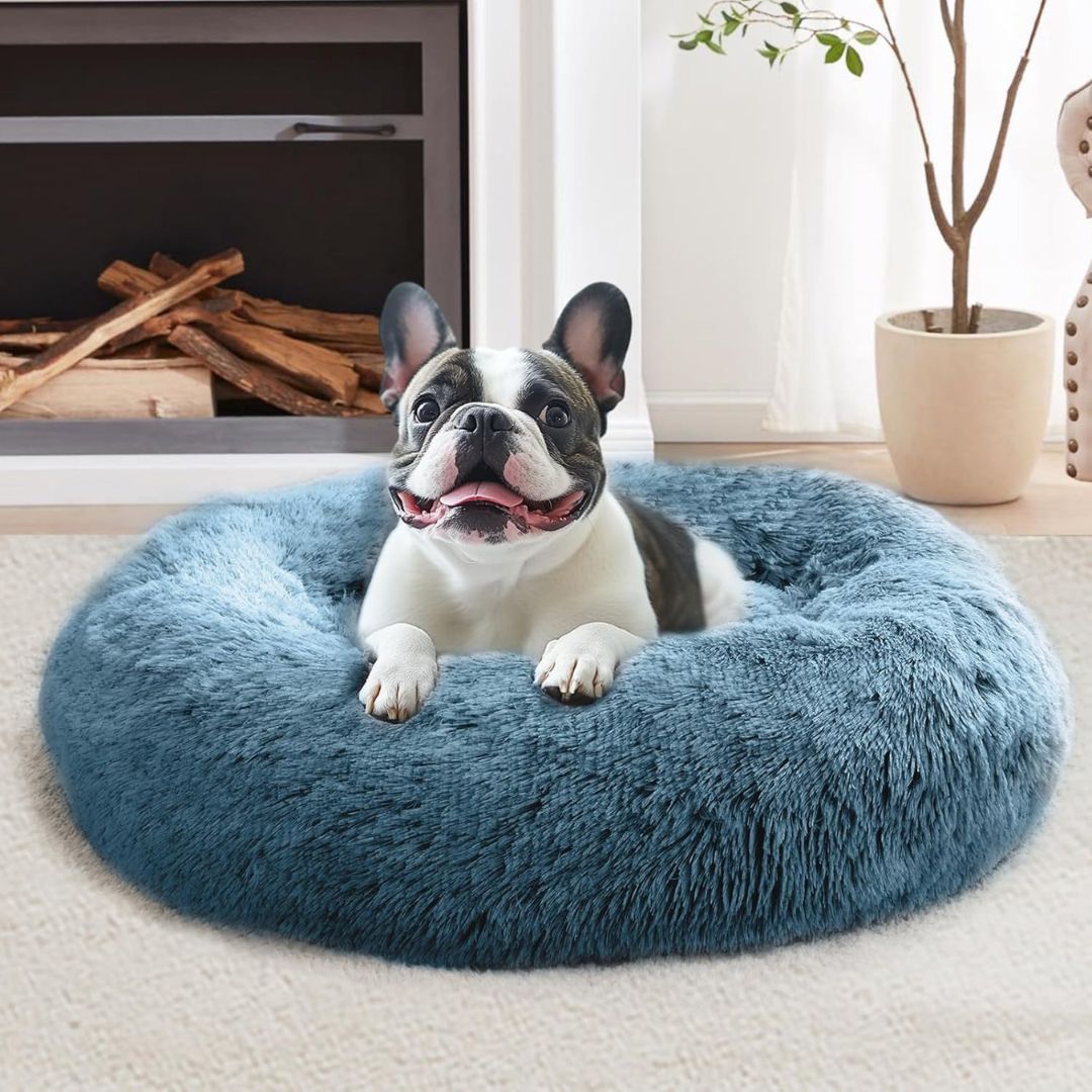 Calming Dog Bed