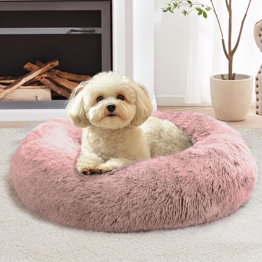 Calming Dog Bed