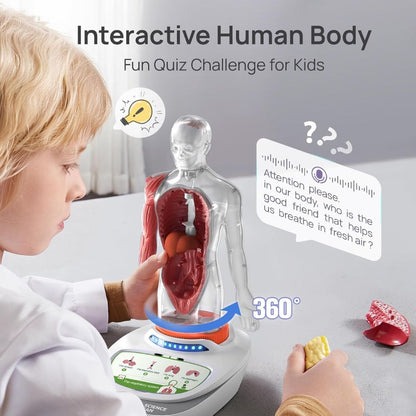 Educational Body Model for Kids