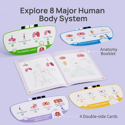 Educational Body Model for Kids