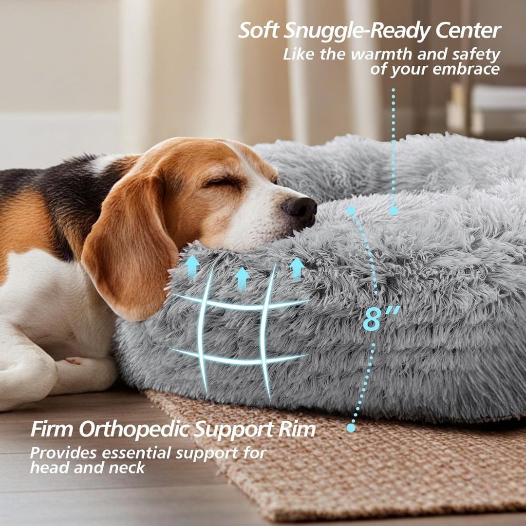 Calming Dog Bed