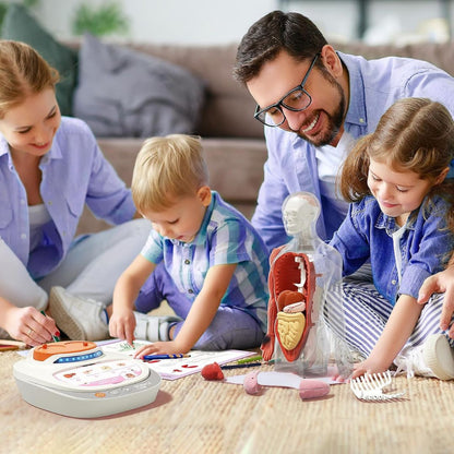 Educational Body Model for Kids