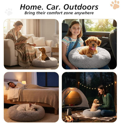 Calming Dog Bed