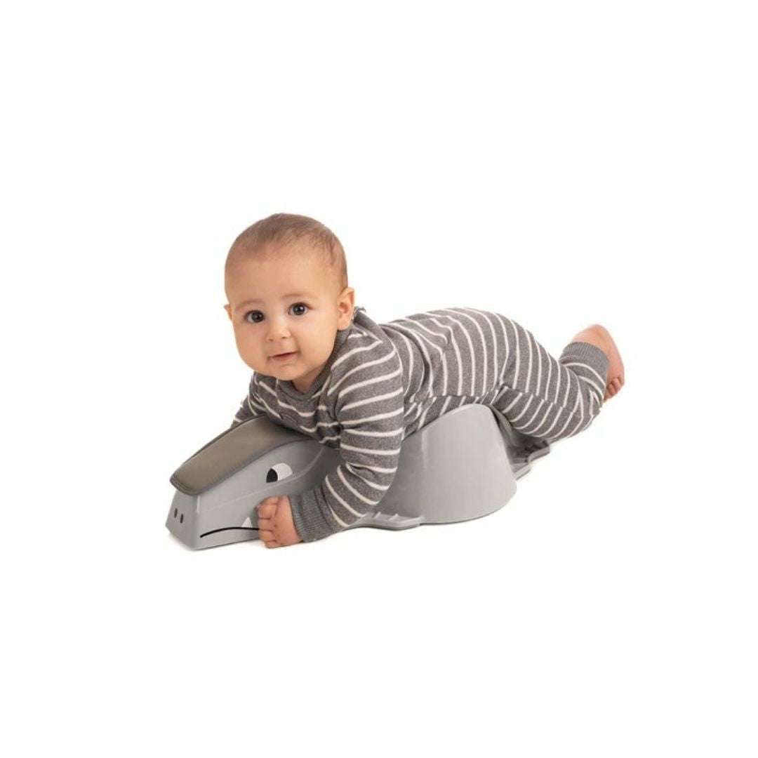 Tummy Crawler Mobility Toy